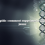 Réponse rapide : comment supprimer le nid de blouson jaune